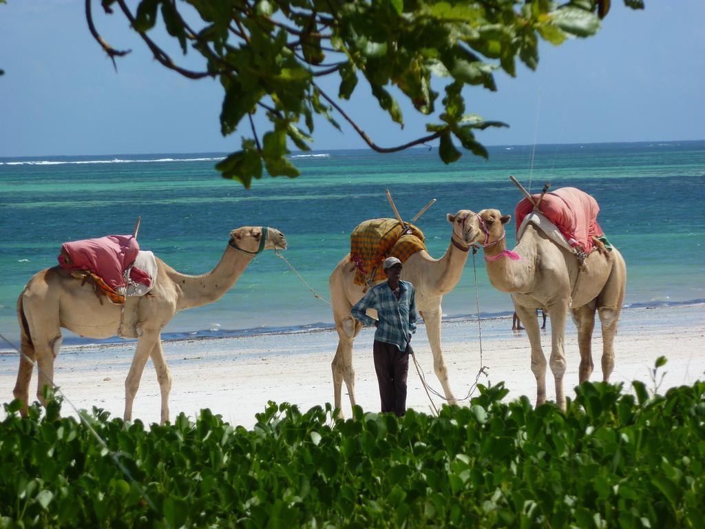 Lantana Galu Beach Диани Бийч Екстериор снимка