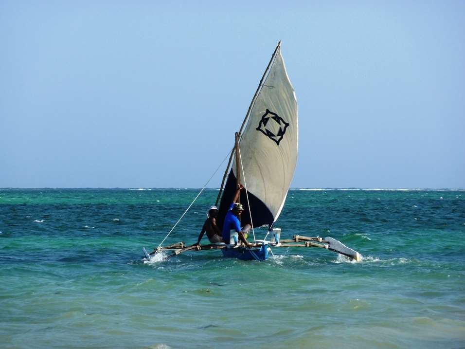 Lantana Galu Beach Диани Бийч Природа снимка